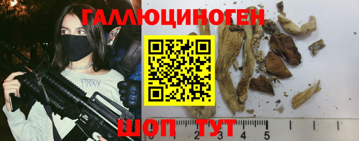 Галлюциногенные грибы Magic Shrooms Ессентуки