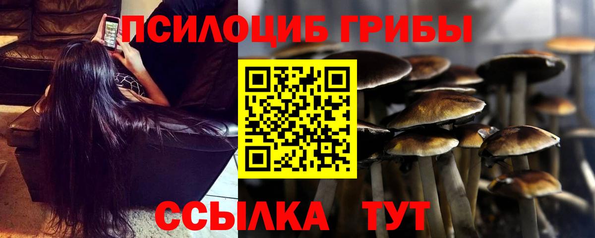 Ессентуки  Псилоцибиновые грибы GOLDEN TEACHER  Вход с VPN  Псилоцибиновые грибы прущие грибы 