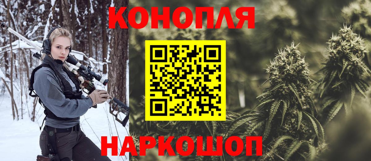 Бошки марихуана конопля Ессентуки
